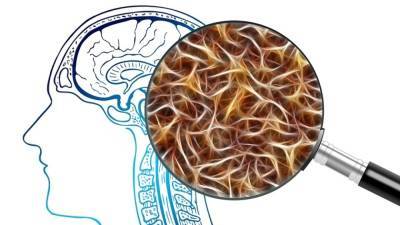 Ученые из США определили способность мозга к "перезагрузке" после наркоза