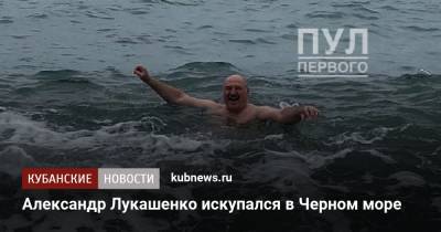 Александр Лукашенко искупался в Черном море