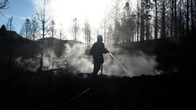 Климатологи доказали сокращение количества лесных пожаров с 18 века