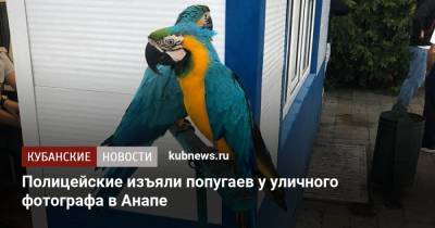 Полицейские изъяли попугаев у уличного фотографа в Анапе
