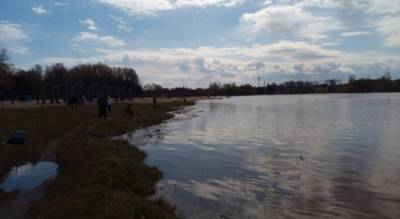 «Течет зловонная бело-зеленая жижа»: в Ярославле началась проверка из-за загрязнения Которосли