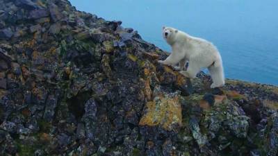 Территория открытий: туристический потенциал Арктики