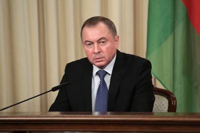 Глава МИД Белоруссии прокомментировал ситуацию с задержанной россиянкой