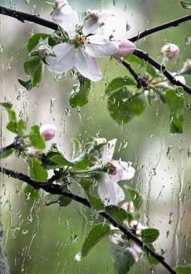 Прогноз погоды в Одессе на 31 мая: будет ли дождь в последний день месяца? - odessa-life.od.ua - Одесса