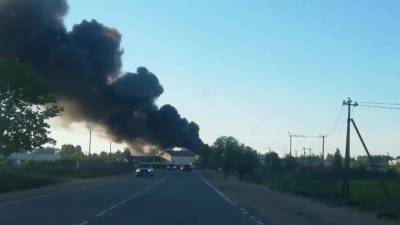 Петербуржцы заметили пожар недалеко от посёлка Бугры