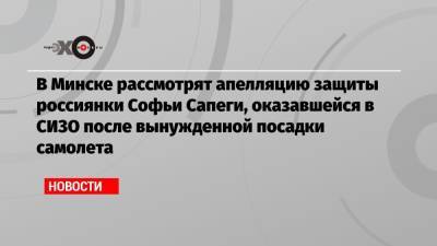 В Минске рассмотрят апелляцию защиты россиянки Софьи Сапеги, оказавшейся в СИЗО после вынужденной посадки самолета