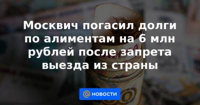 Москвич погасил долги по алиментам на 6 млн рублей после запрета выезда из страны