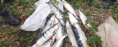 На камчатских реках поймали браконьеров: ущерб составил свыше 780 тысяч рублей