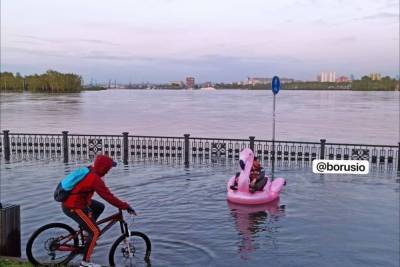 Красноярцы плавают на розовом фламинго и моторке по затопленной набережно