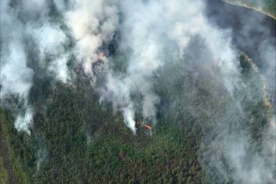 За сутки 30 мая в лесах Якутии обнаружены два новых пожара и один потушен