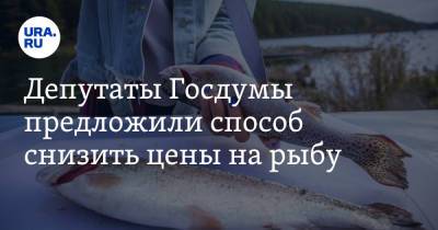 Депутаты Госдумы предложили способ снизить цены на рыбу