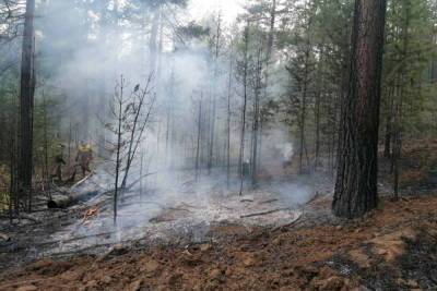 За сутки в Бурятии тушили два лесных пожара