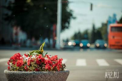 Мэр Новокузнецка сообщил о ворующих с клумб цветы горожанах