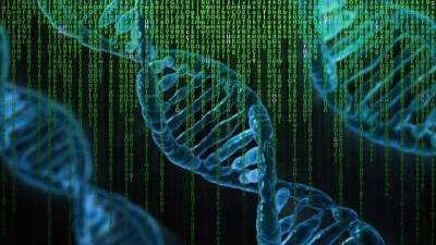 Генетика: как гены влияют на характер и судьбу человека