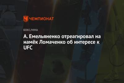 А. Емельяненко отреагировал на намёк Ломаченко об интересе к UFC
