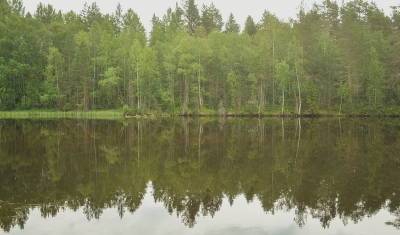 Тело пропавшего подростка в Ялуторовске нашли в реке