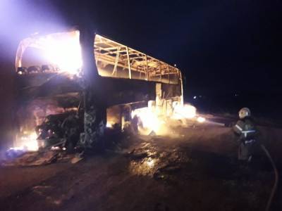 В Липецкой области на трассе сгорел автобус. Видео