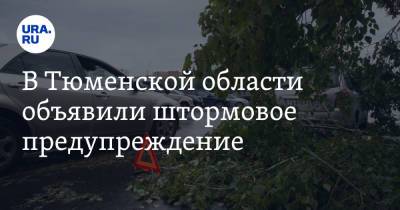 В Тюменской области объявили штормовое предупреждение