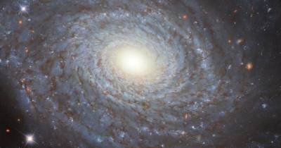120 млн световых лет от Земли. Телескоп Хаббл сделал невероятно детальный снимок спиральной галактики