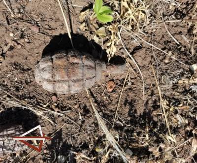 В Челябинской области за три дня нашли две гранаты и артснаряд