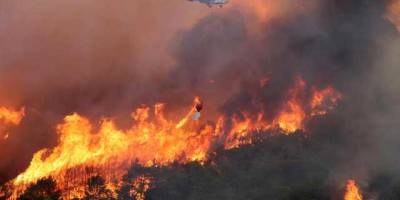 В турецкой Анталии ввели ограничения из-за опасности лесных пожаров