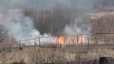 За неделю в Воронежской области потушили 12 ландшафтных пожаров