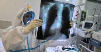 В России за сутки выявили 8475 новых случаев коронавируса