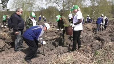 В память о погибших в ВОВ в России посадили 27 миллионов деревьев