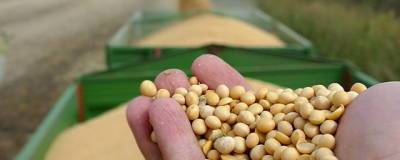 В России производители масличных культур получат почти 3,5 млрд рублей