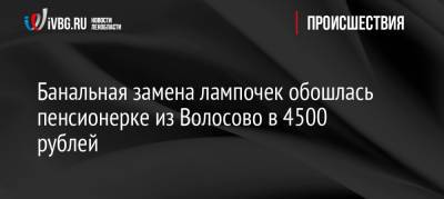 Банальная замена лампочек обошлась пенсионерке из Волосово в 4500 рублей