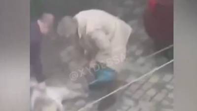 В муках и конвульсиях: в центре Одессы живодерка устроила расправу над псом на глазах у ребенка, кадры
