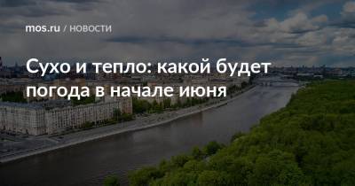 Сухо и тепло: какой будет погода в начале июня