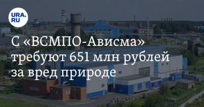 С «ВСМПО-Ависма» требуют 651 млн рублей за вред природе