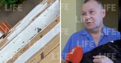Рой мух и трупный запах: Соседи рассказали Лайфу, как обнаружили погибшую семью из Щёлкова