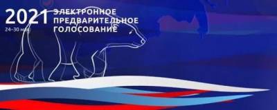 Политолог Асафов отметил транспарентность предварительного онлайн-голосования «Единой России»