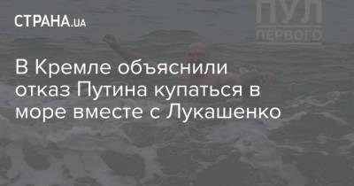 В Кремле объяснили отказ Путина купаться в море вместе с Лукашенко