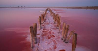 Лемурийское озеро. Мертвое море розового цвета на Херсонщине