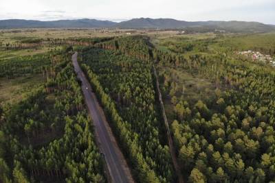 Власти Забайкалья разрешили посещать лес с 1 июня