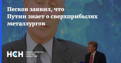 Песков заявил, что Путин знает о сверхприбылях металлургов
