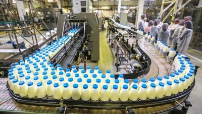 Доля фальсификата молока в магазинах Петербурга составила 50%