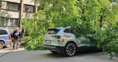 ФОТО: В Риге на официальный автомобиль чемпионата мира упало дерево