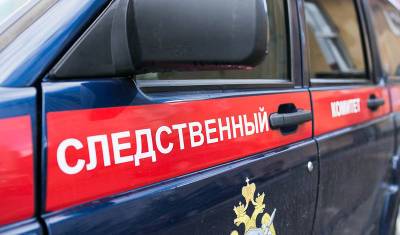 В Омской области сельского депутата и его жену арестовали за детское порно