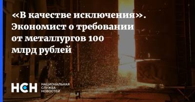«В качестве исключения». Экономист о требовании от металлургов 100 млрд рублей
