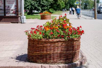 Первый день лета в Псковской области будет теплым