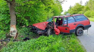 В Полоцком районе легковушка врезалась в дерево - водитель погибла