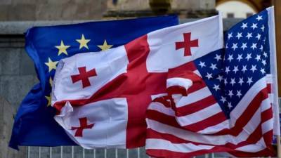 Послов ЕС и США в Грузии беспокоит партия Саакашвили