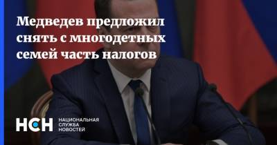 Медведев предложил снять с многодетных семей часть налогов