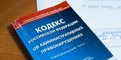 В правительстве разъяснили принцип действия статьи КоАП о неуважении к власти