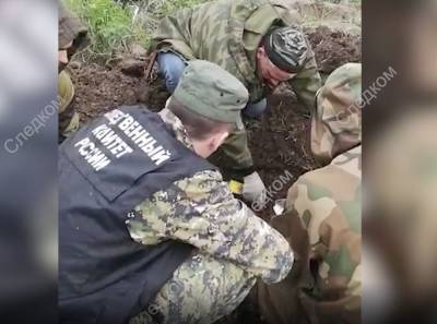В Волховском районе обнаружили останки солдата — видео