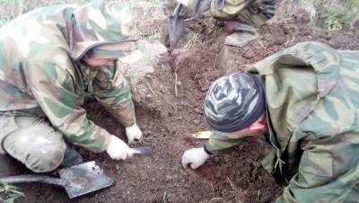 В Волховском районе обнаружены останки солдата времён ВОВ